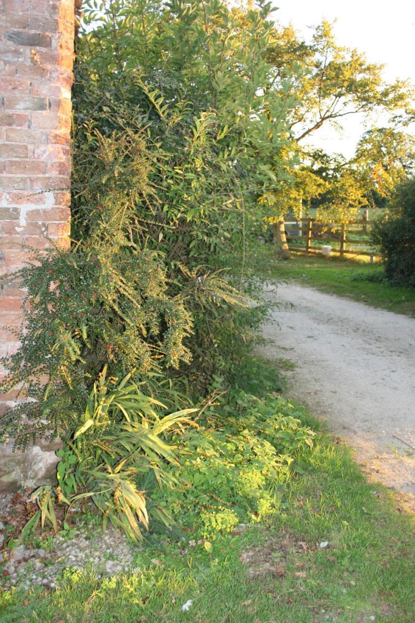 Greenway Farm Bed & Breakfast Bridgwater Exterior foto